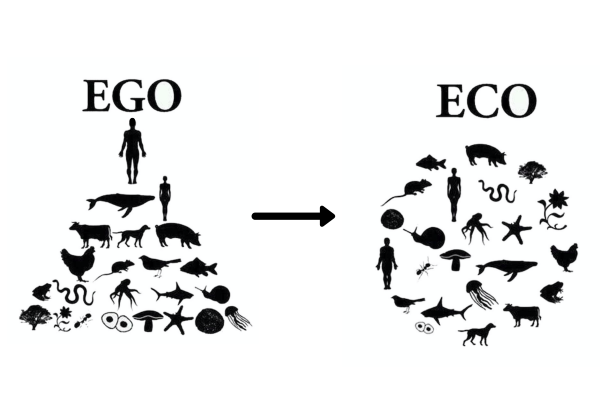 Ego-centric to Eco-centric